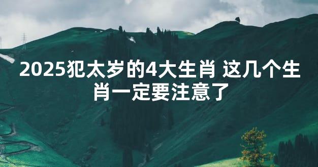 2025犯太岁的4大生肖 这几个生肖一定要注意了